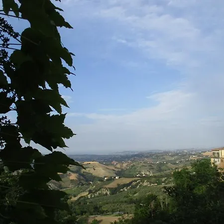 Alla Piazza